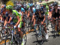 Tour de Calif